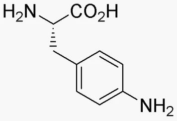 4-Amino-L-phenylalanine (02594)