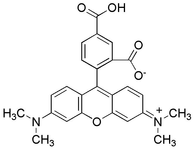 5-Carboxy-tetramethylrhodamine (16900)