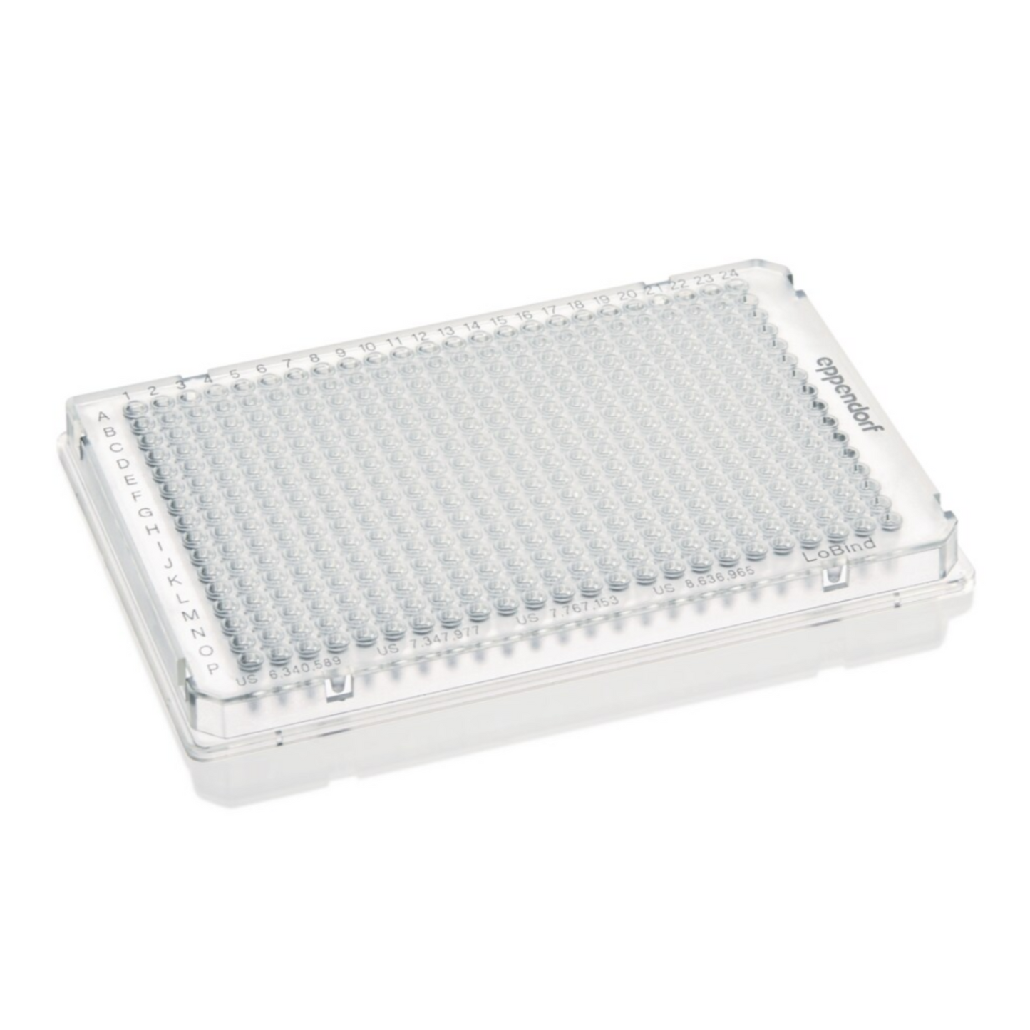 384 well PCR plate, clear