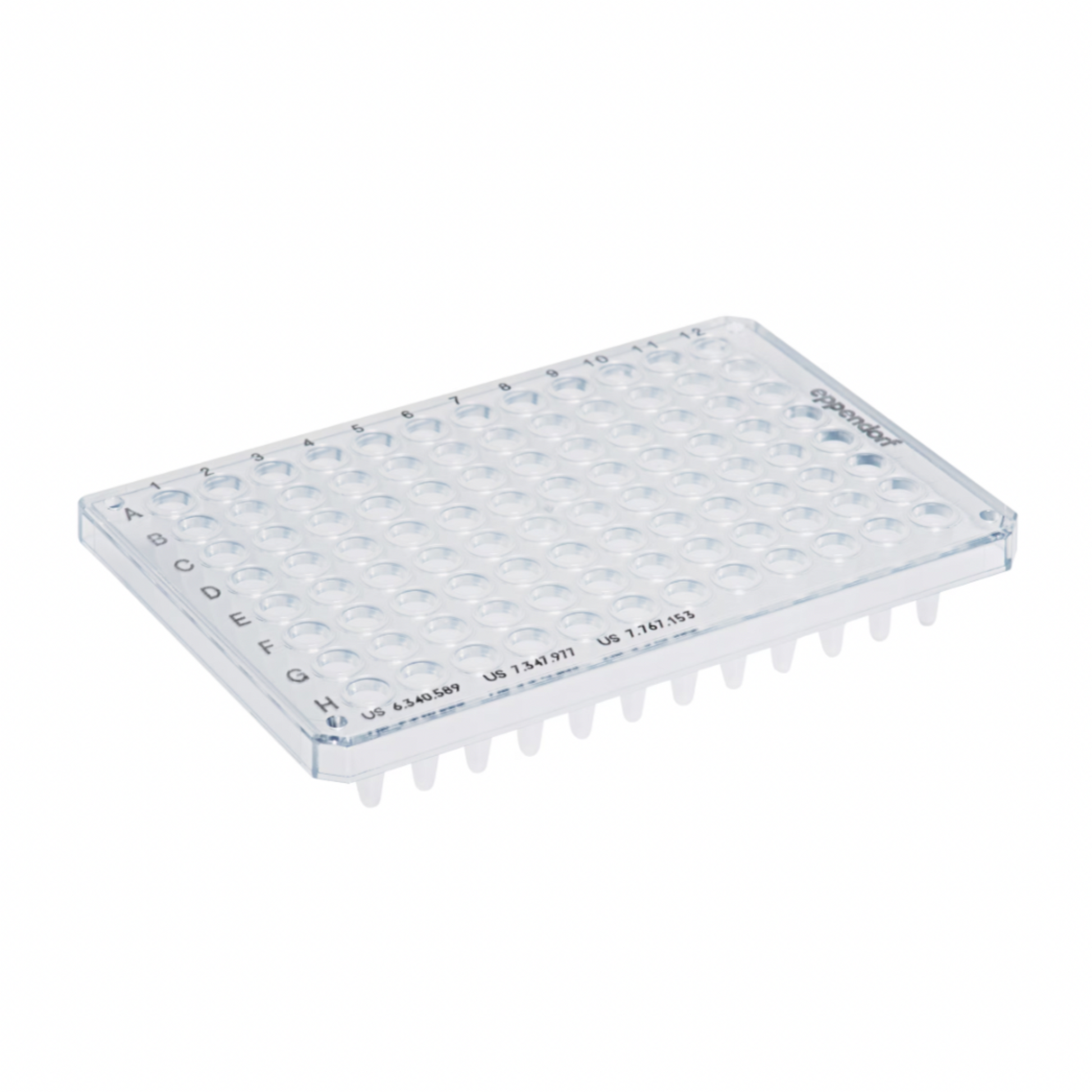 Twintec PCR plate