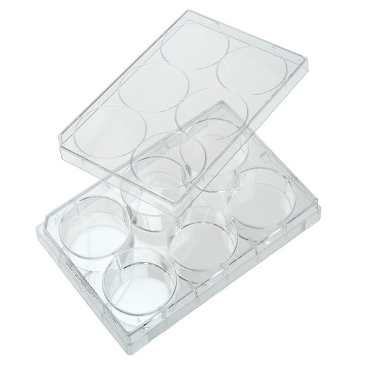 6 Well Tissue Culture Plate with Lid, Individual, Sterile, Case of 100 (229106)