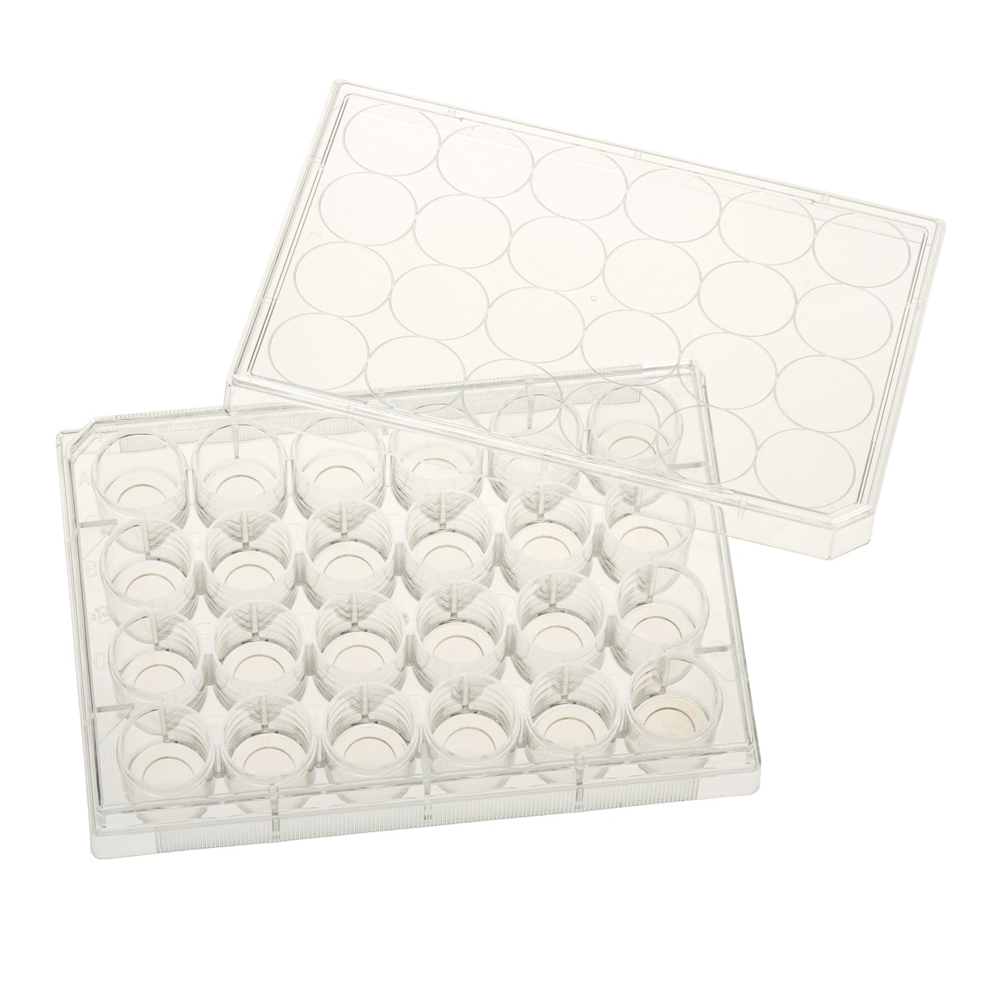 24 Well Tissue Culture Plate with Lid, 10mm Glass Bottom, Individual, Sterile, Case of 5 (229125)