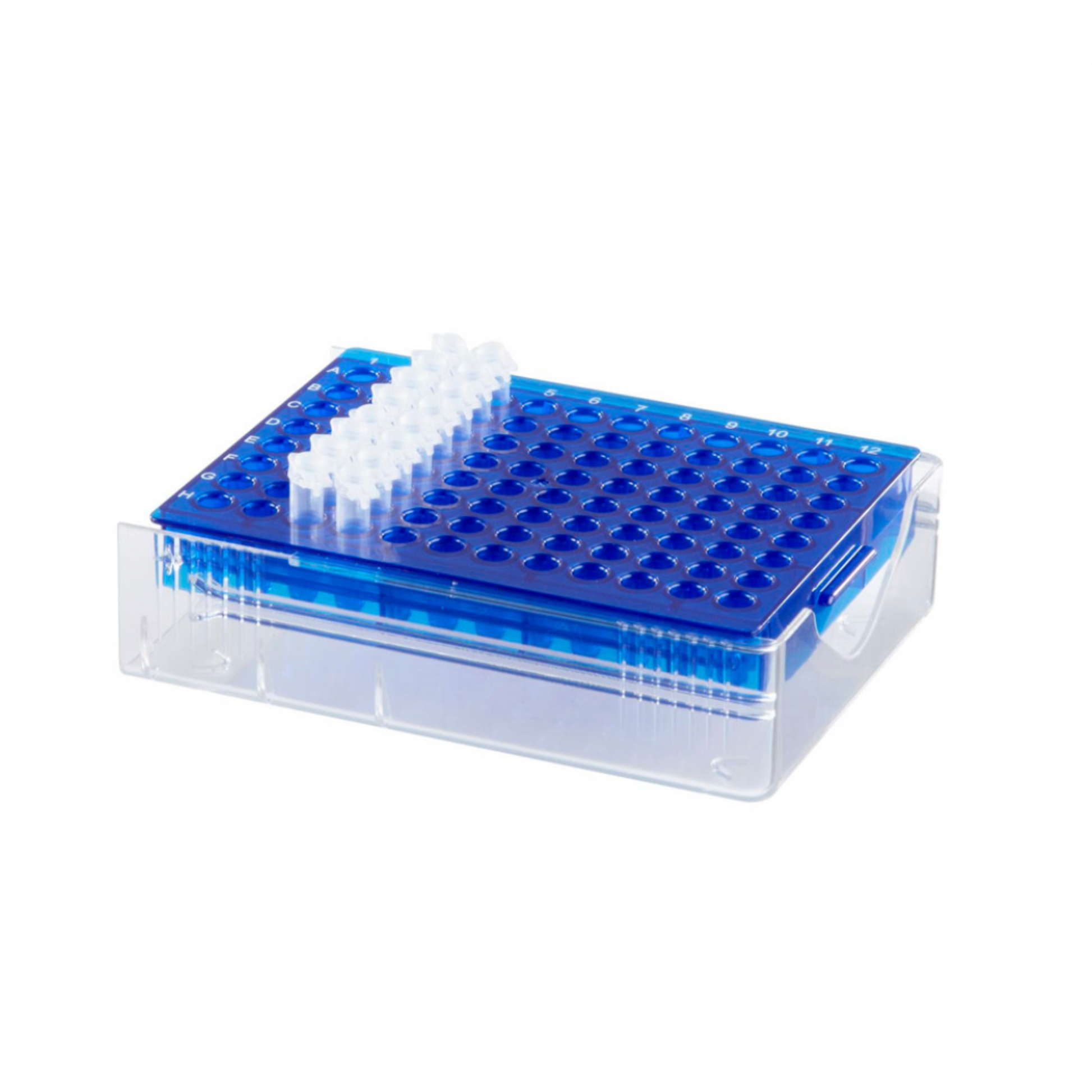 Low temp PCR rack, 96 well, blue