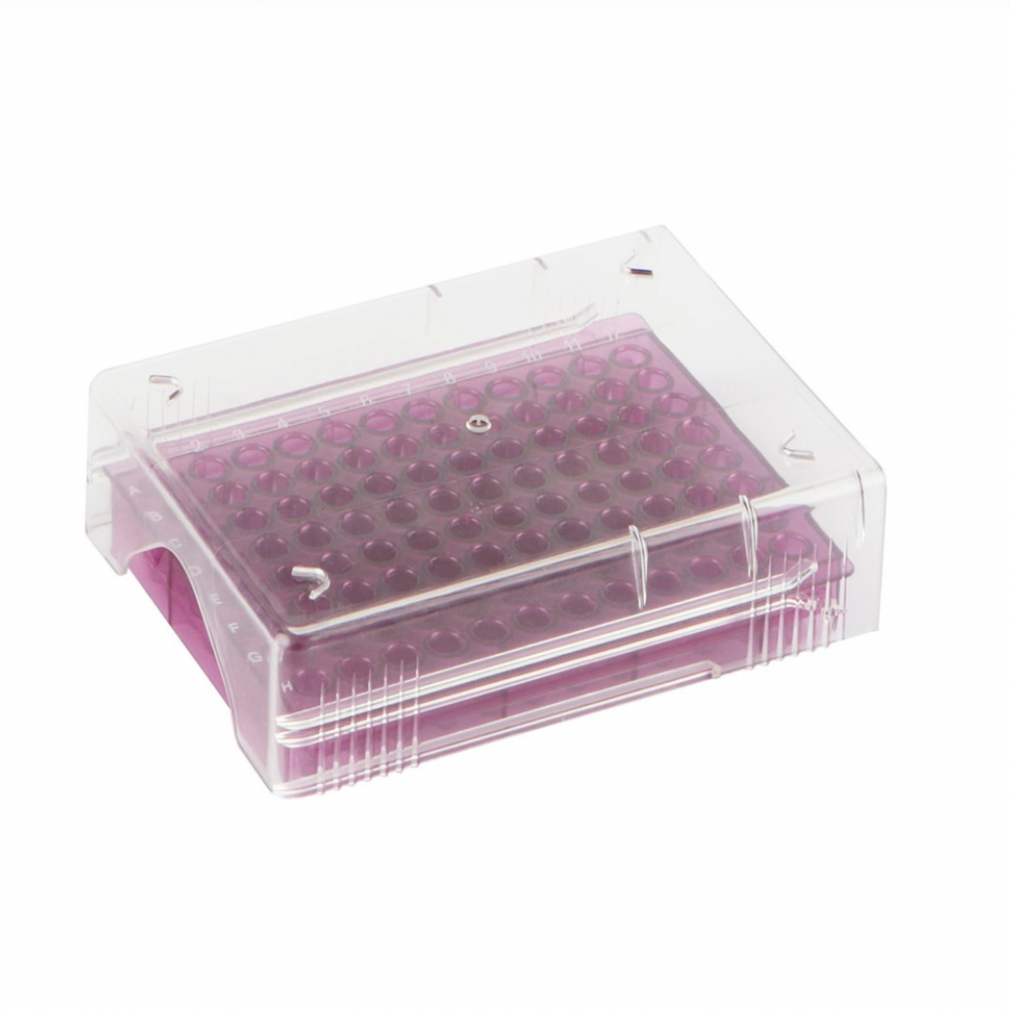 Low temp PCR rack, 96 well, purple