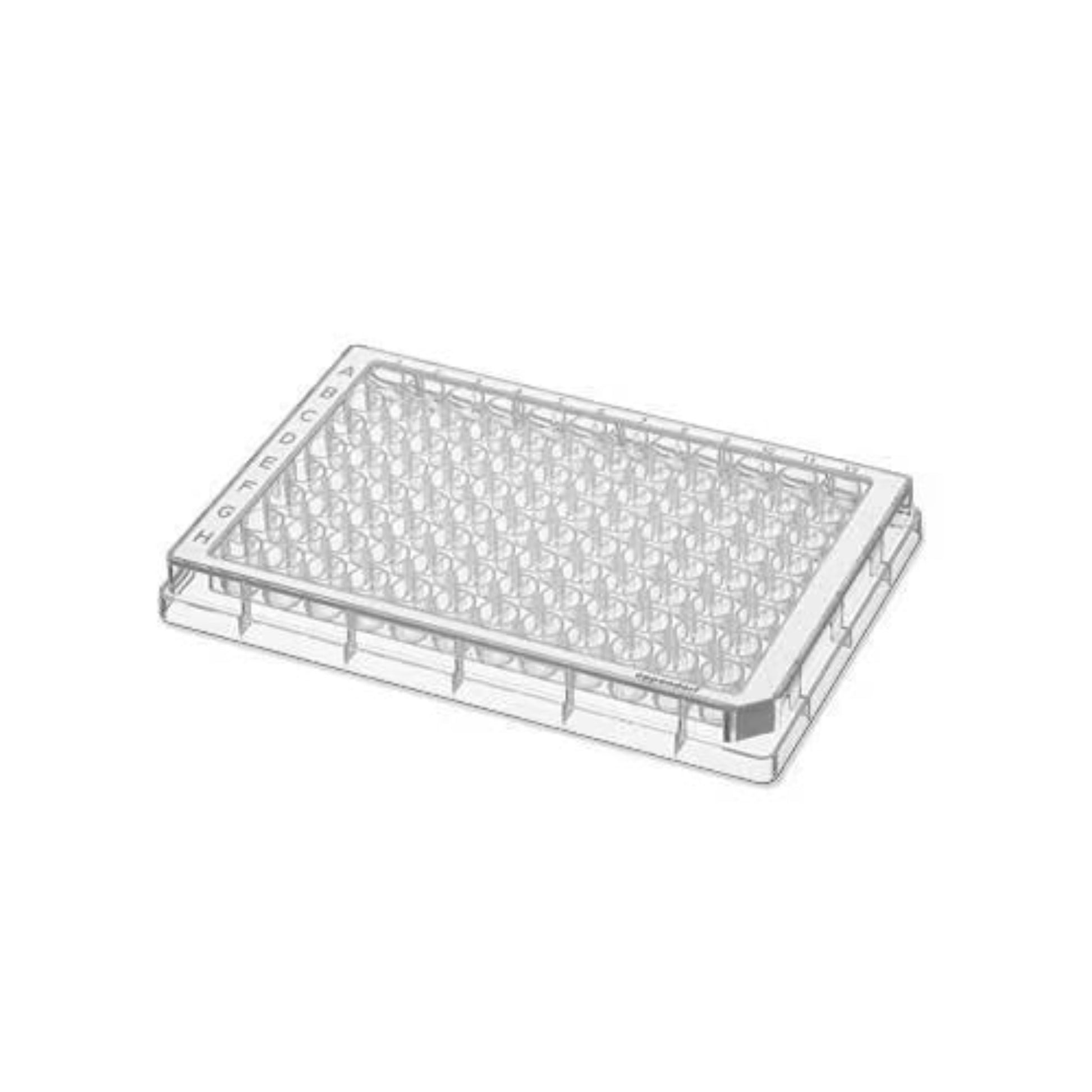 96 well microplate