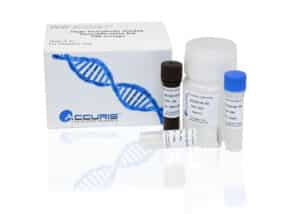 Broad Range DNA Quantification Kit