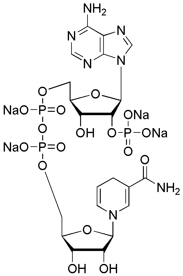 β-Nicotinamide adenine dinucleotide phosphate reduced form, tetrasodium salt (00616)