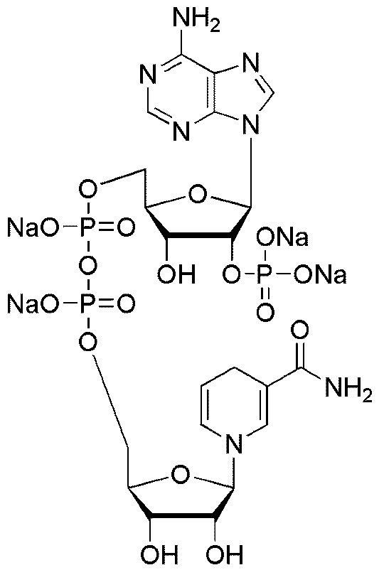 β-Nicotinamide adenine dinucleotide phosphate reduced form, tetrasodium salt (00616)