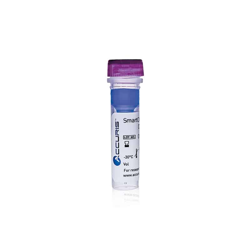 Accuris SmartCheck™ 1kb DNA Ladder