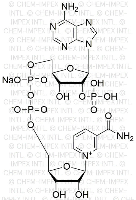 b-Nicotinamide adenine dinucleotide phosphate sodium salt (00231)
