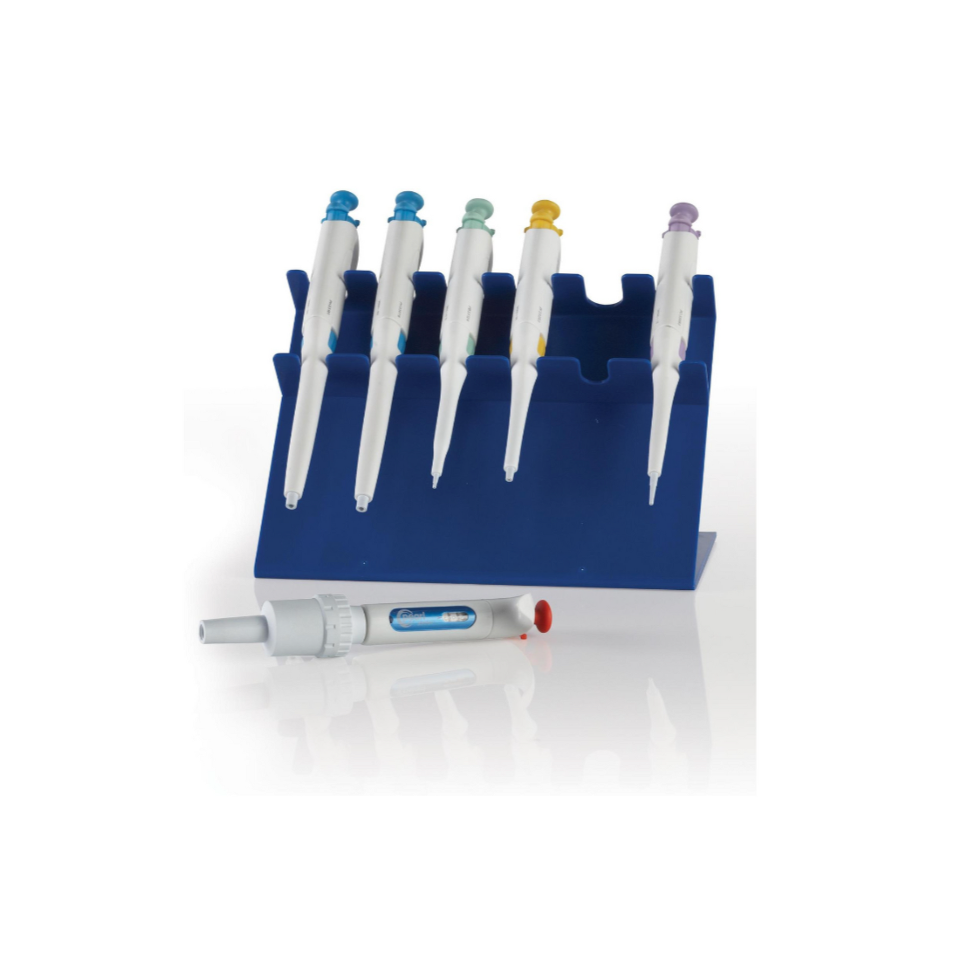 6 place ABS pipette stand, blue